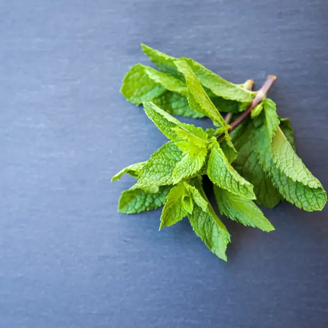 Use Fresh Mint Leaves As Decoration And For Taste Shaun Meintjes